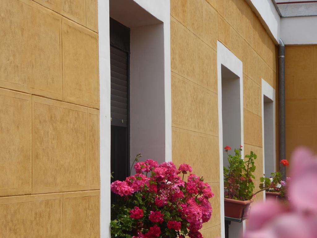 Casa de hóspedes Huespedes Toledo