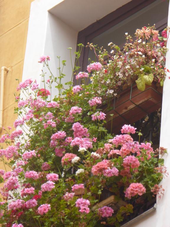 Casa de hóspedes Huespedes Toledo