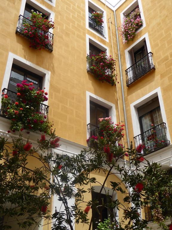 Huespedes Toledo