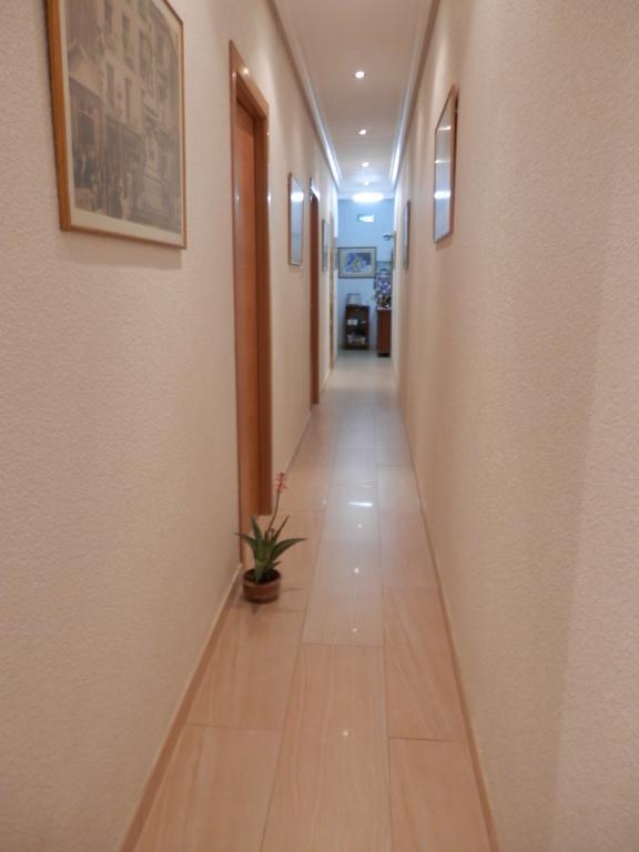 Guest house Del Pez Azul
