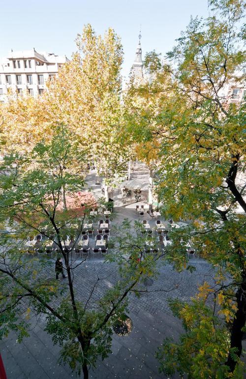 Asuncion 2* Madrid