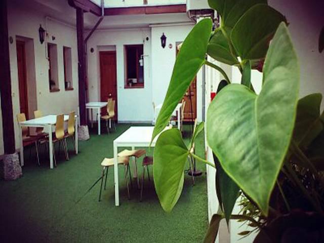 Hotel The Living Roof 5*