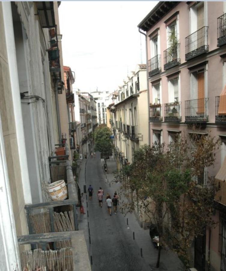 Appartement Latina *