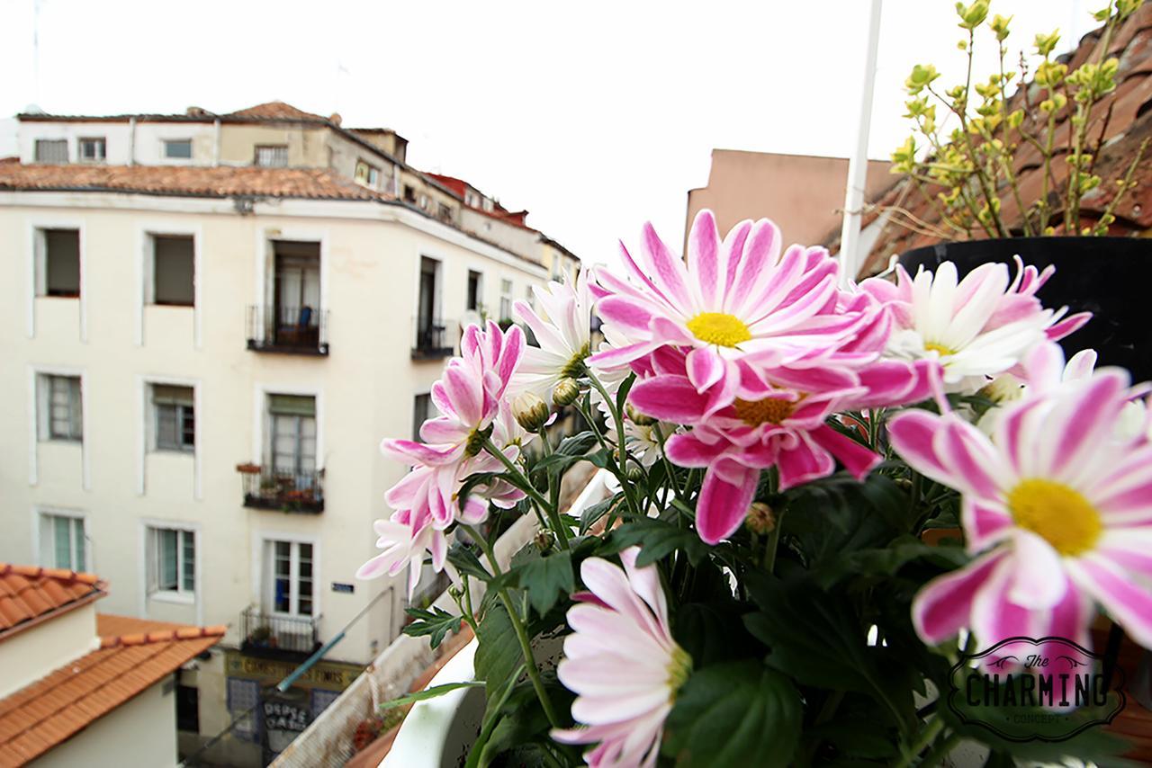 Apartment Charming Oasis In The Centre Of *