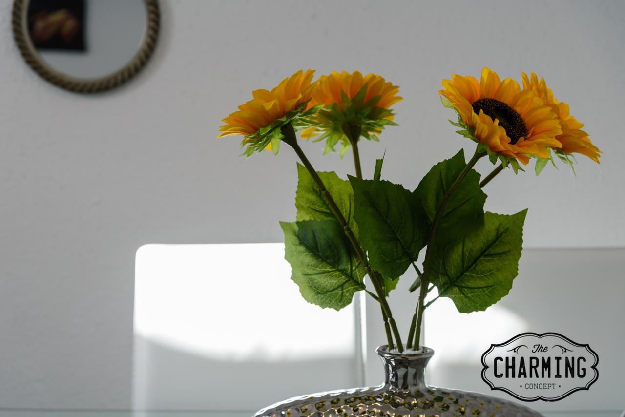 Charming Argensola Center - * Madrid