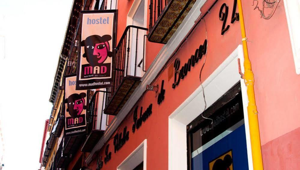 Cats Chill Out Hostal *