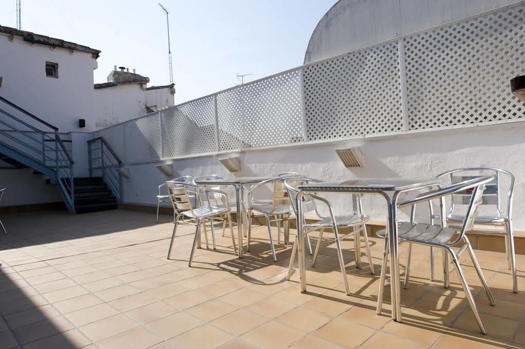 Hostal Cats Chill Out Madrid