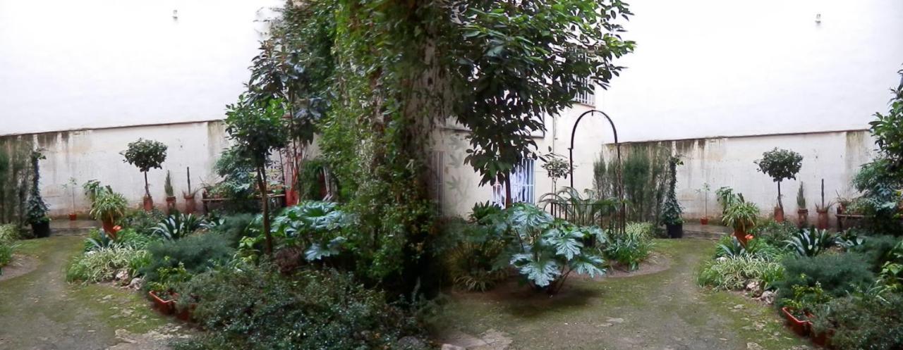 Del Pez Azul Guest house