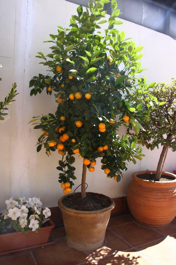 Atico Latina Appartement *