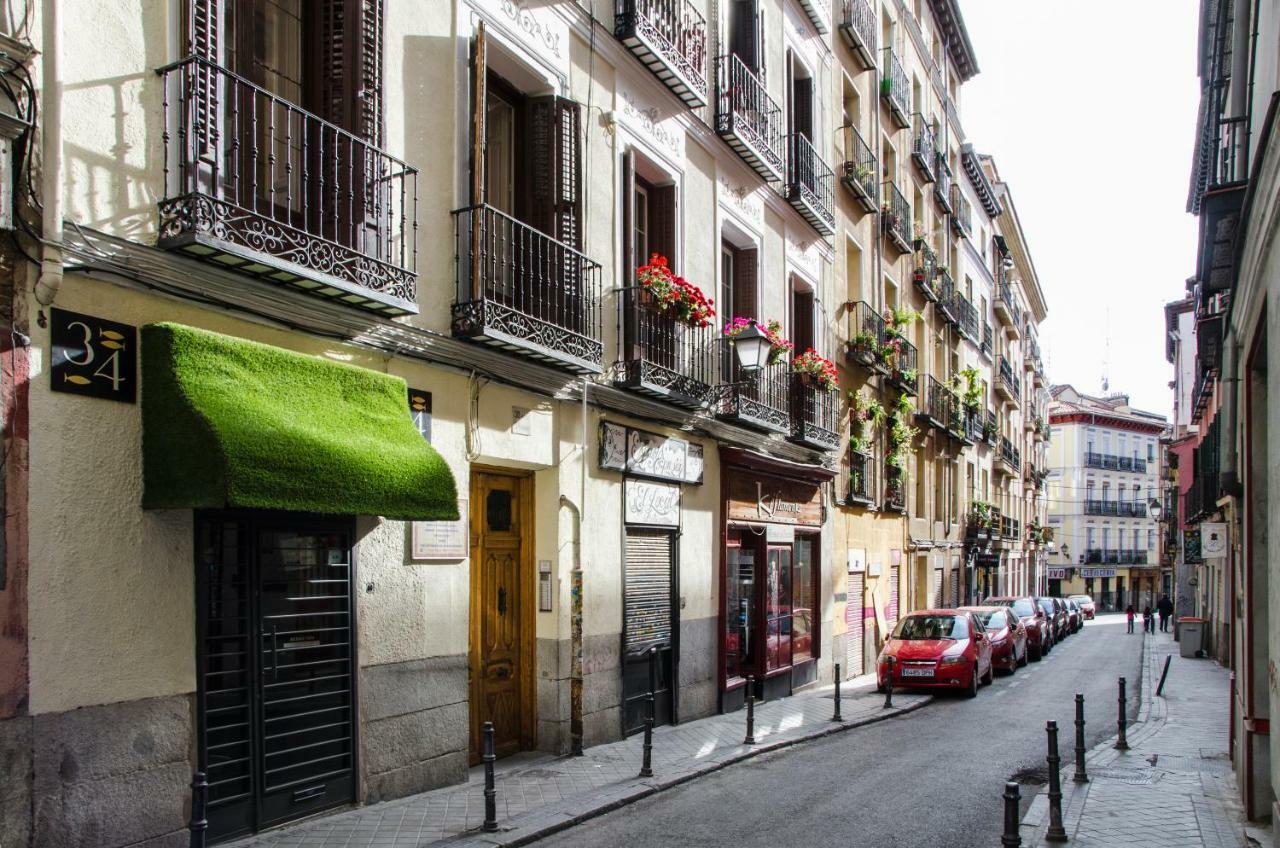 Renovated And Modern- 3bd 2bth- Anton Martin Appartamento