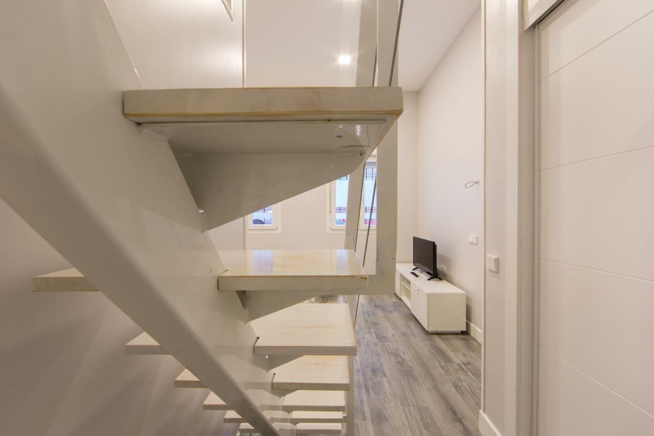 Windrose 5 * Madri