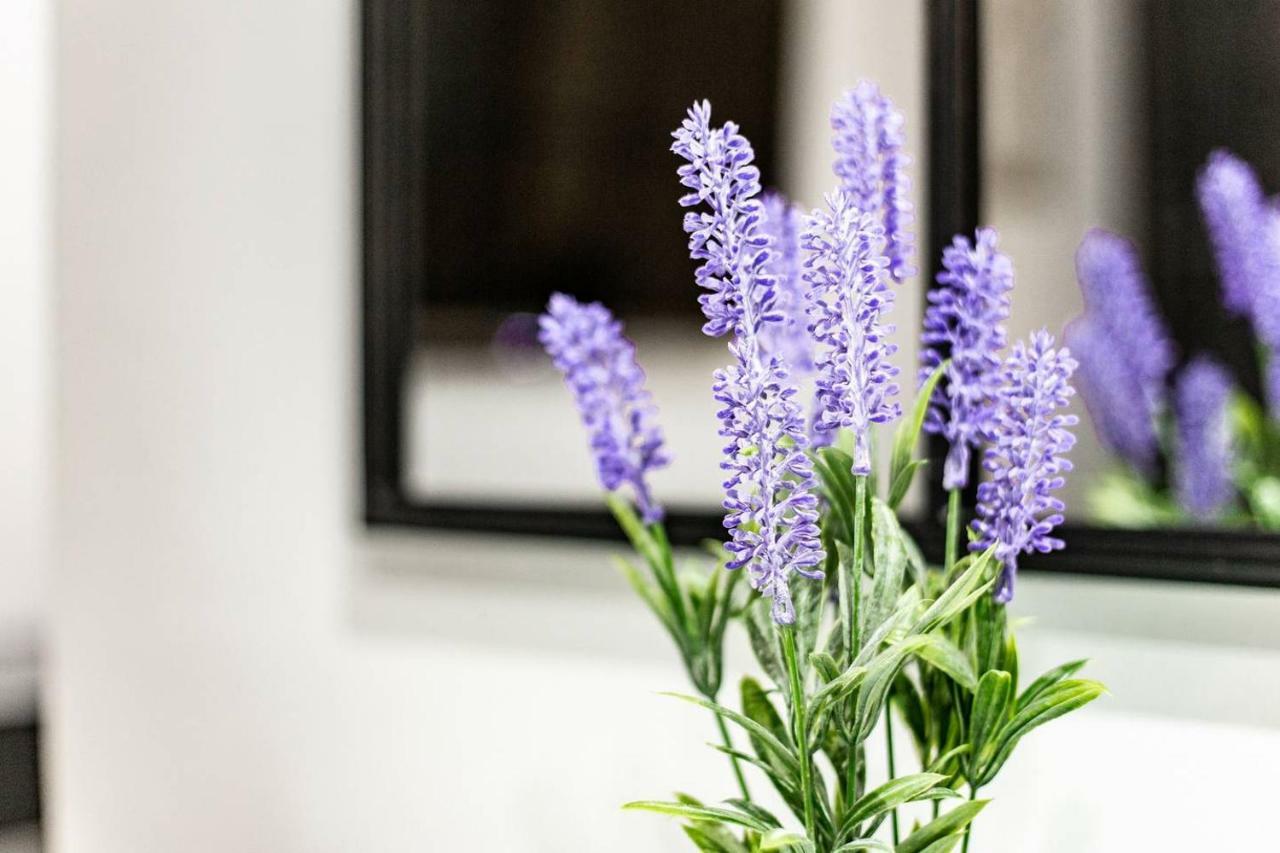 Appartement Cozy And Modern For 4 In