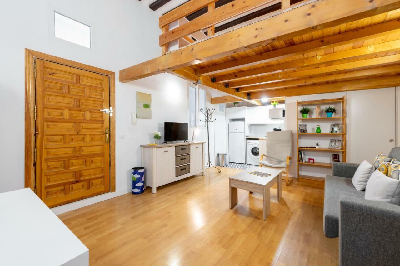 Duplex Lavapies 1bd * Madrid