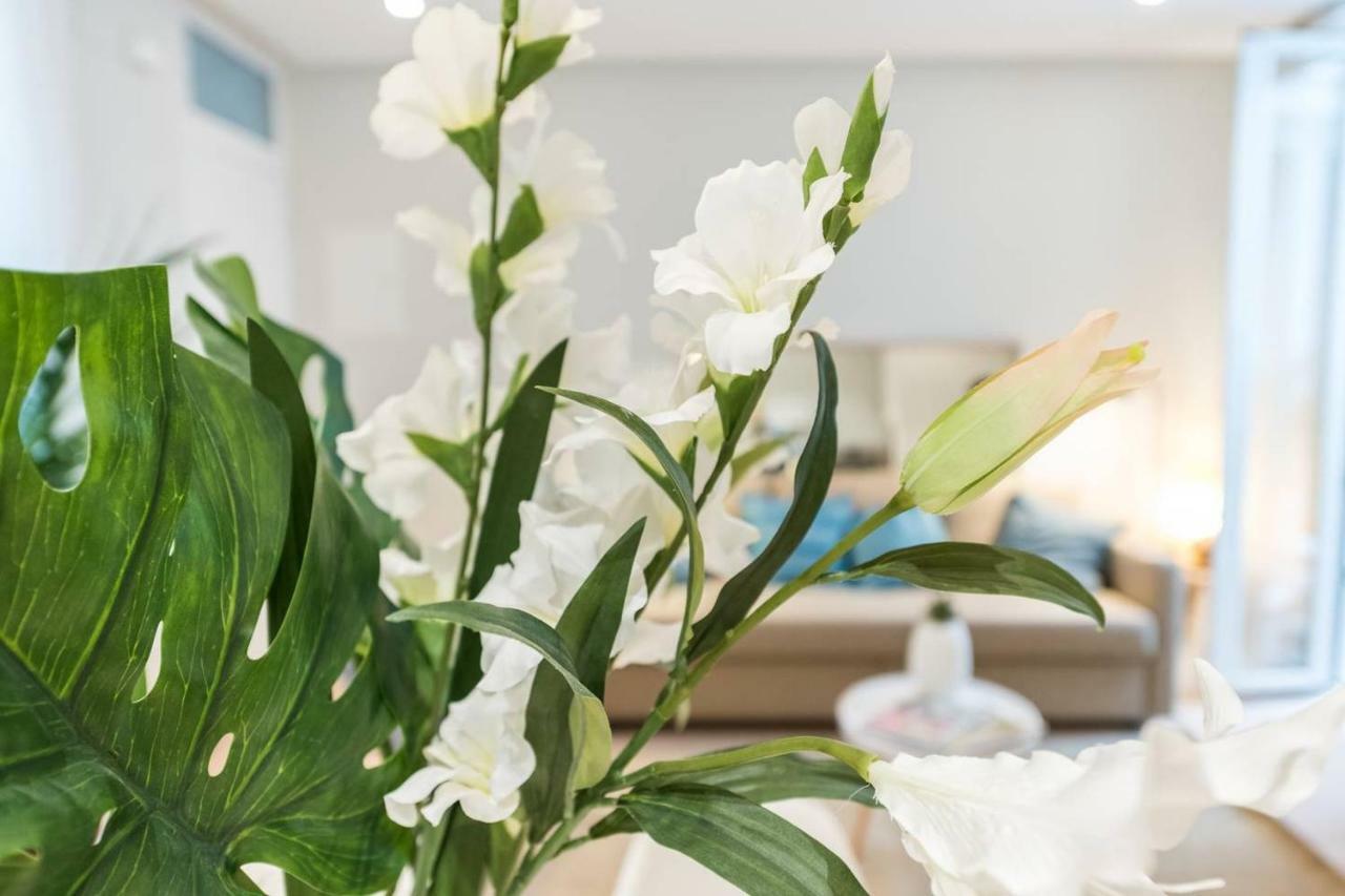 Explore From A Warm With Patio At A Newly Refurbished Manorial Building Apartment Madrid