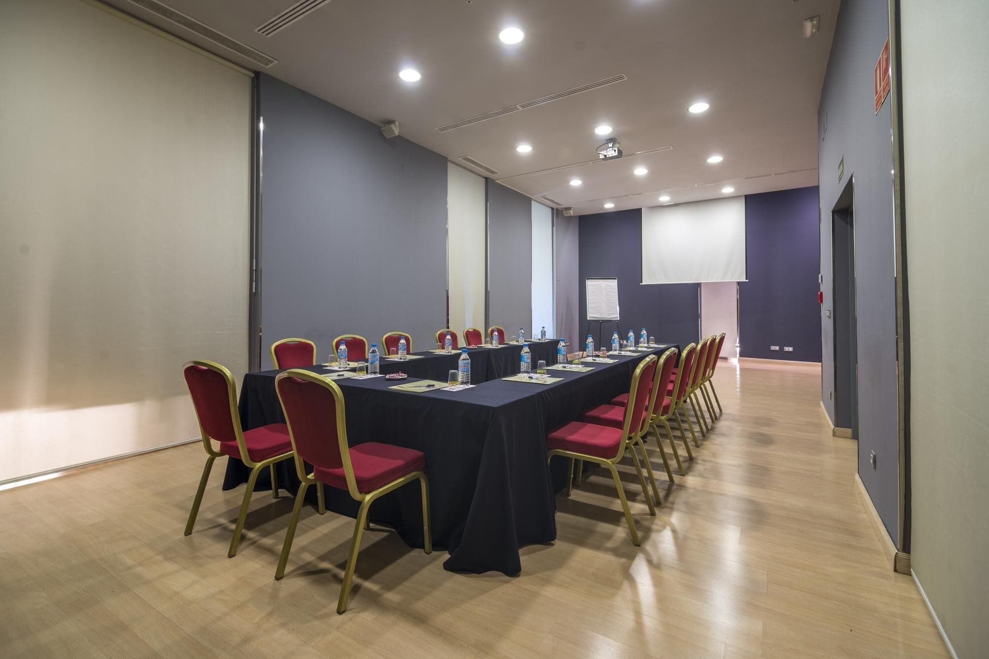 Petit Palace Triball Hotel