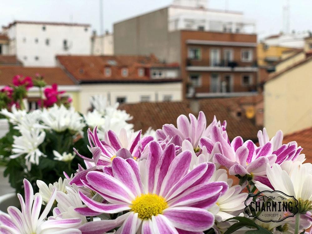 Charming Oasis In The Centre Of Apartment Madrid