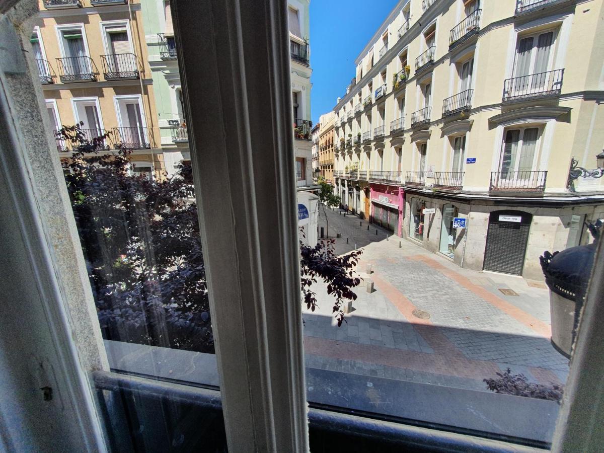 Ch Plaza D'ort Iv *