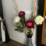 Hostal Corazon De Madrid