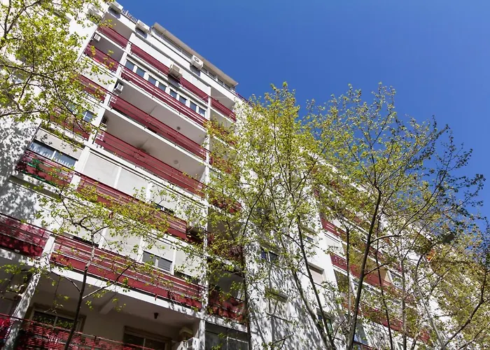 Dobohomes - Clara Del Rey
