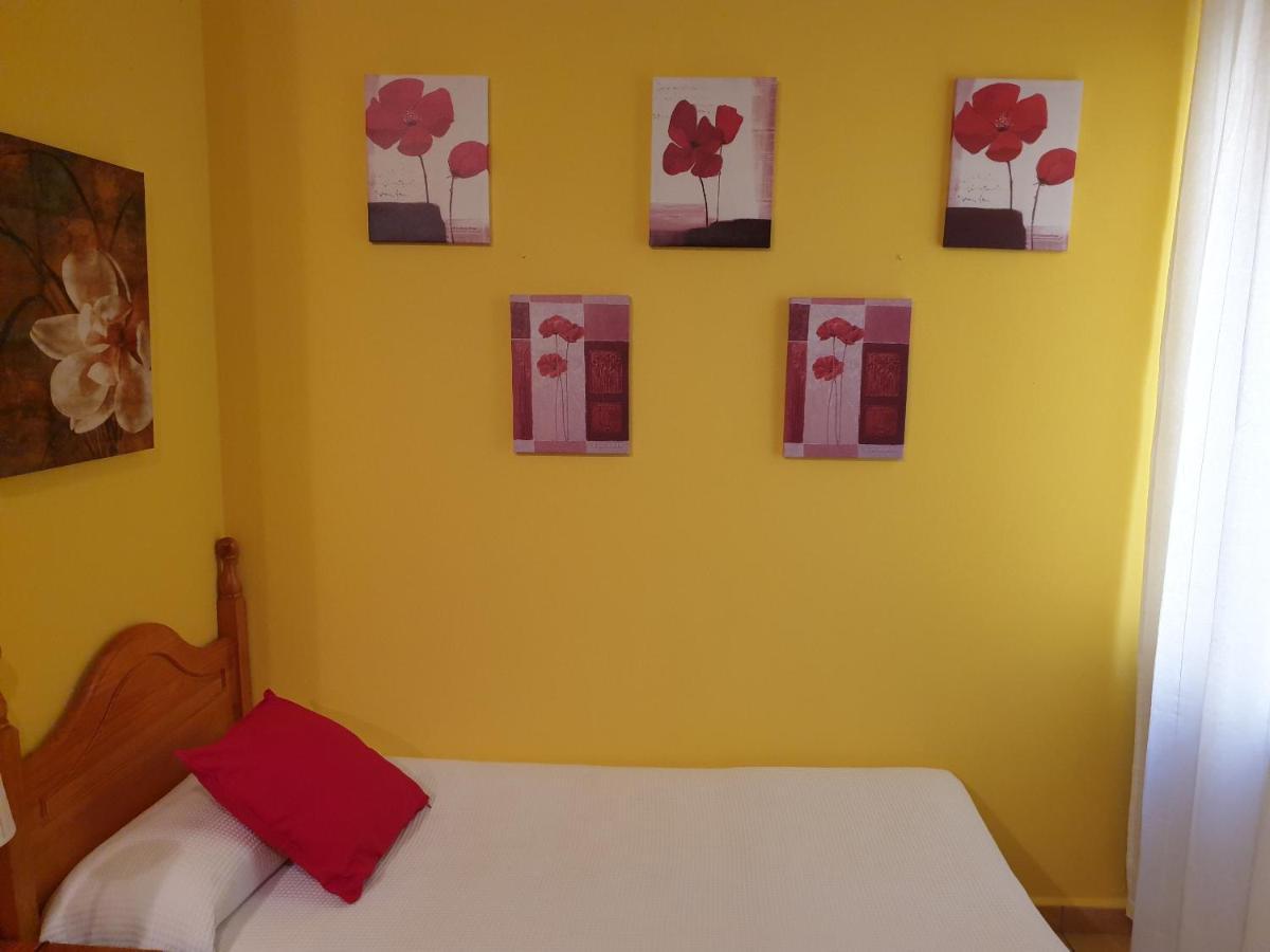 Appartement Dana