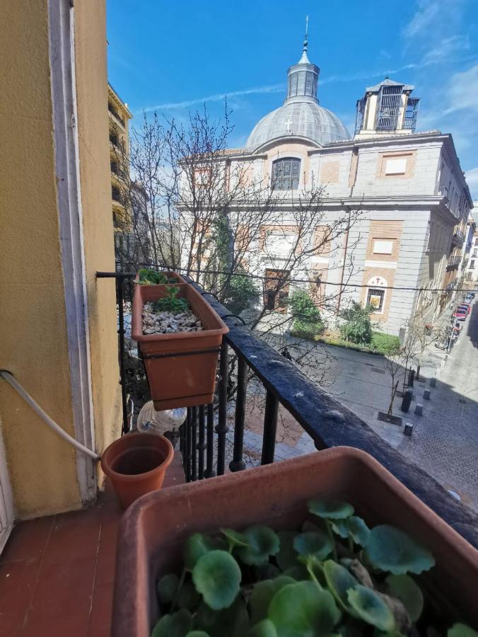 Arta Guest house *