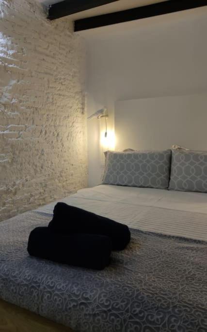 Hermoso Loft Centro Historico. Apartamento *