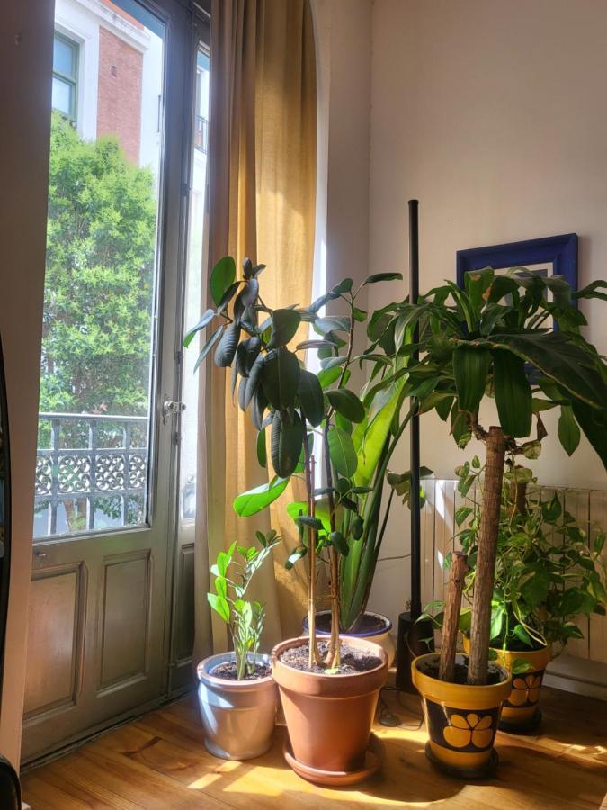 Apartamento Rosa Puerta Del Sol