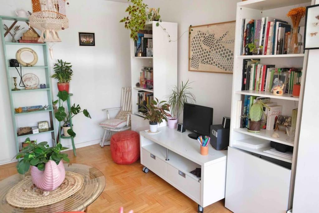 Piso Centrico, Bonito, Acogedor Rodeado De Y Buena Vibra Appartamento