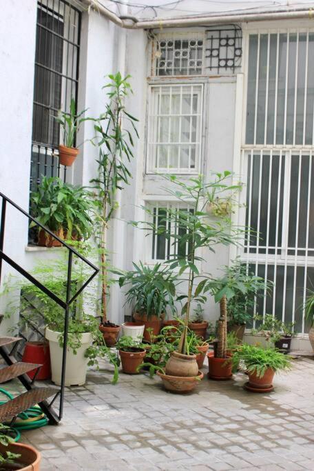 Duplex In Barbieri-b Appartamento *