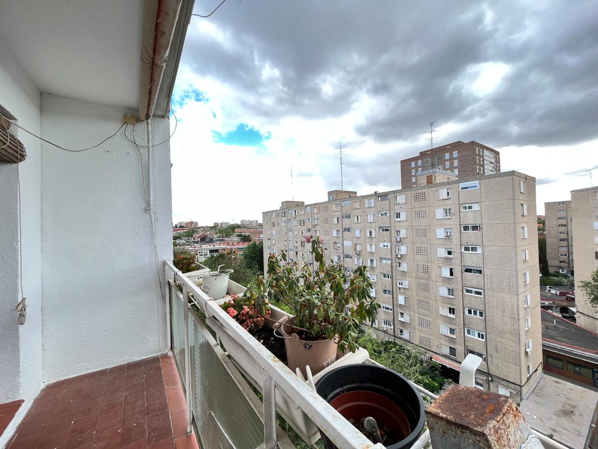 Gran Piso Retiro Corregidor Temporal Madrid