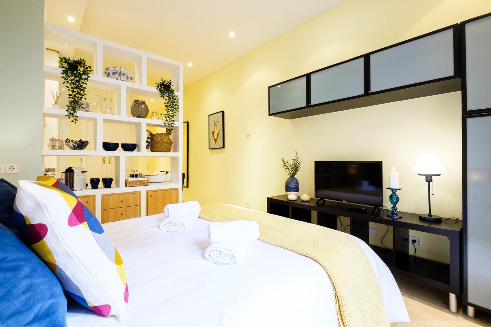 Apartamento My City - Estudio Con Terraza En Malasana