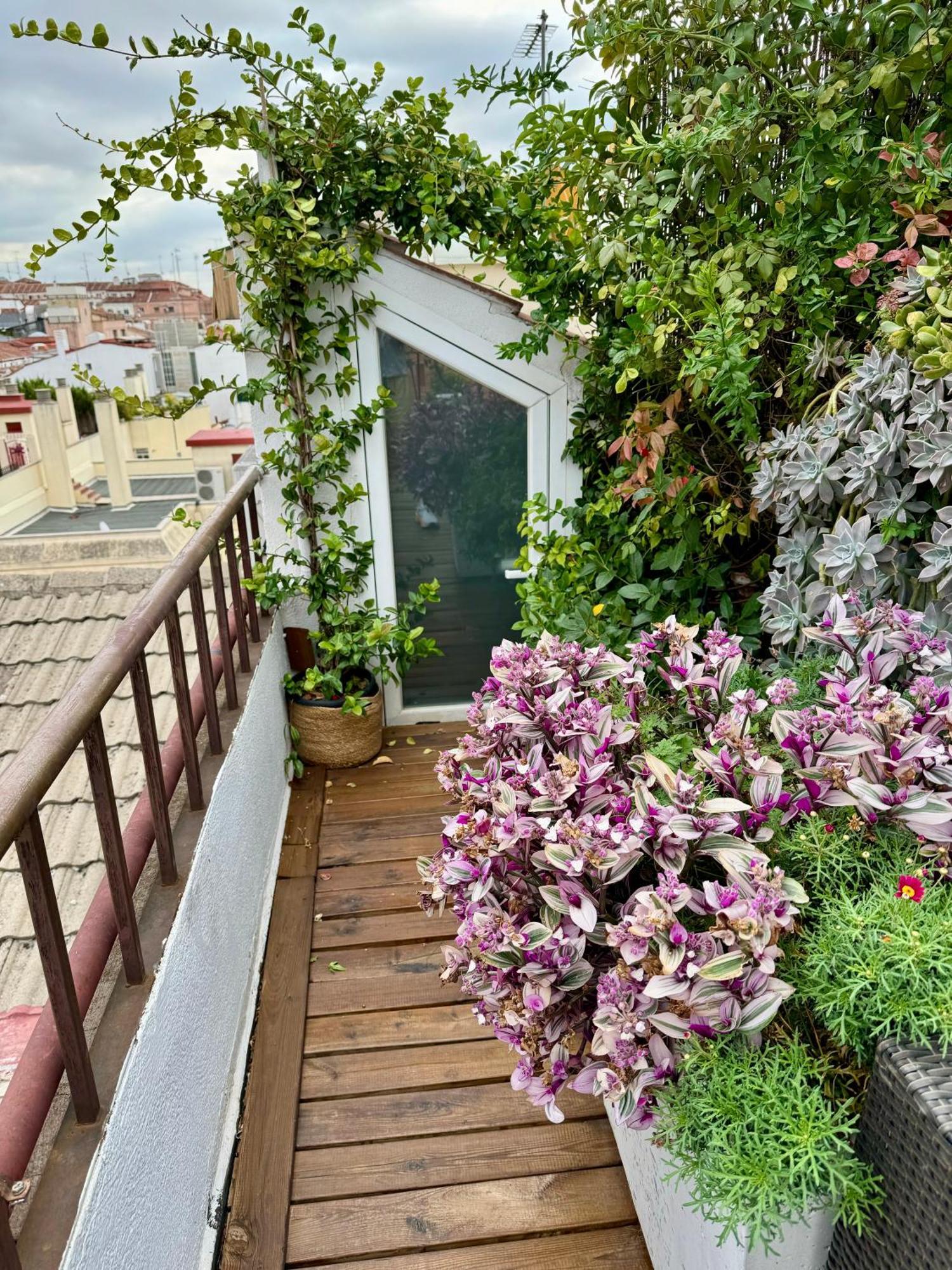 ático Duplex En Pleno Centro Con Vistas A Apartamento *