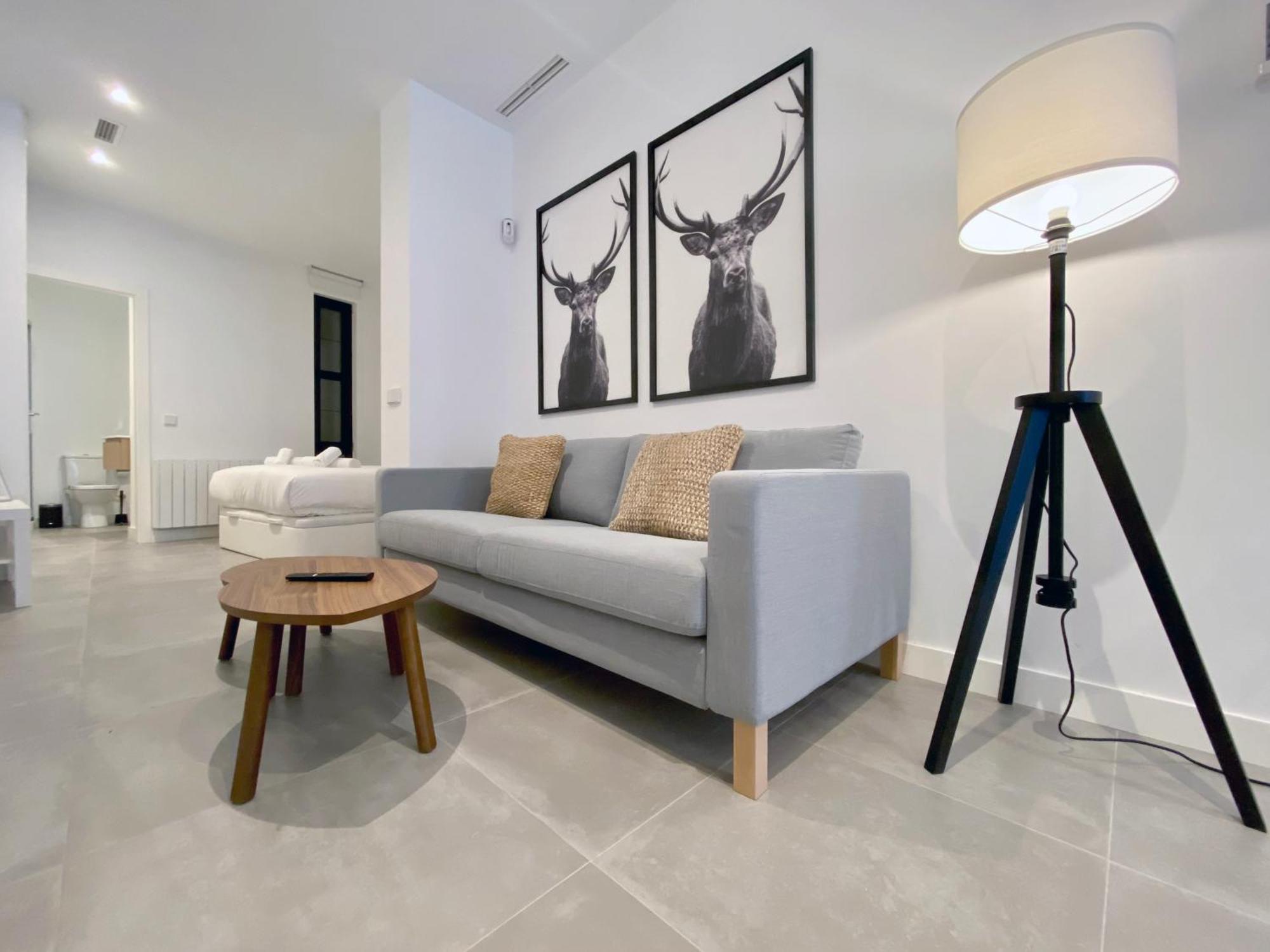 Apartamento Charming Urban La Latina Madrid