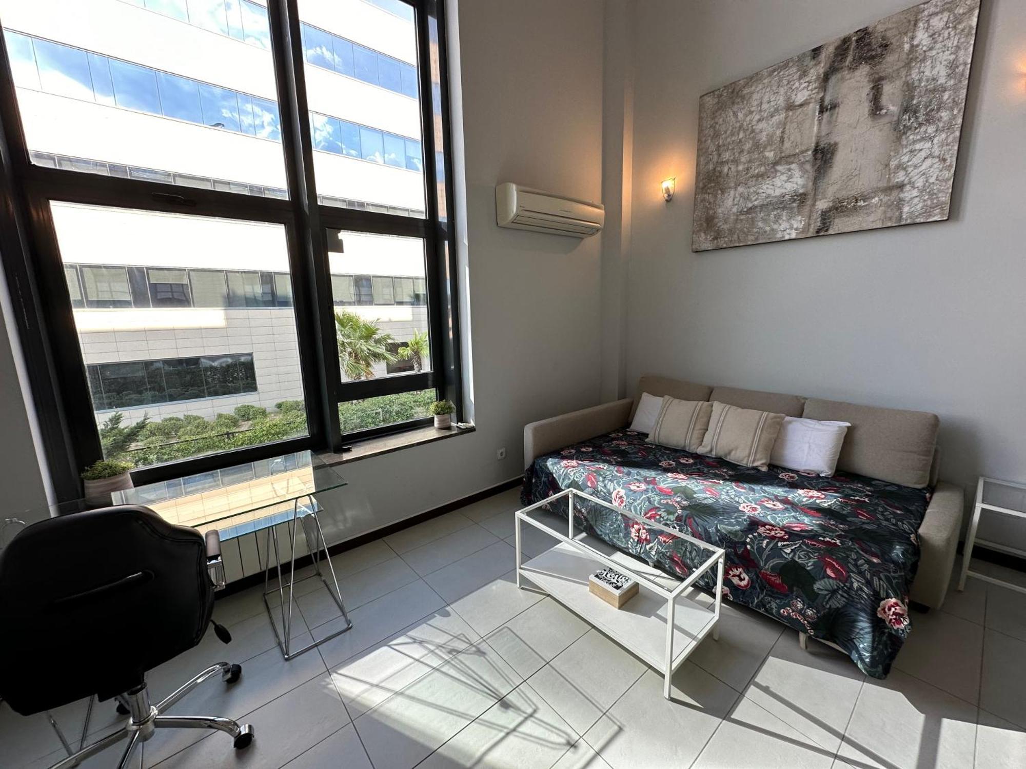 Lujoso Loft La Moraleja