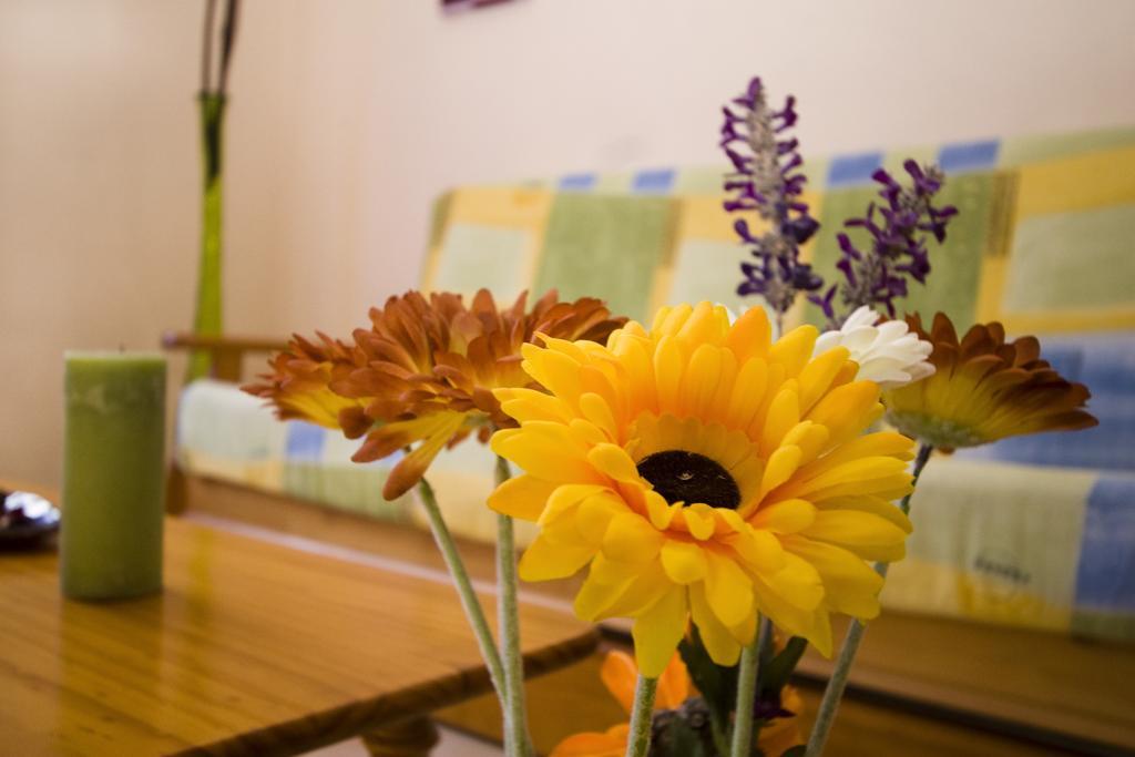 Appartement Dana