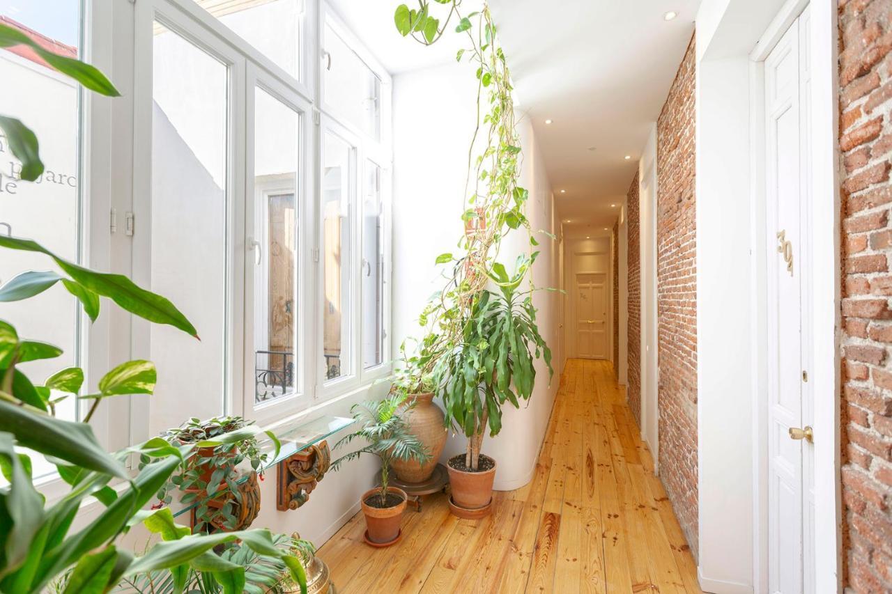 Appartement Matute 11