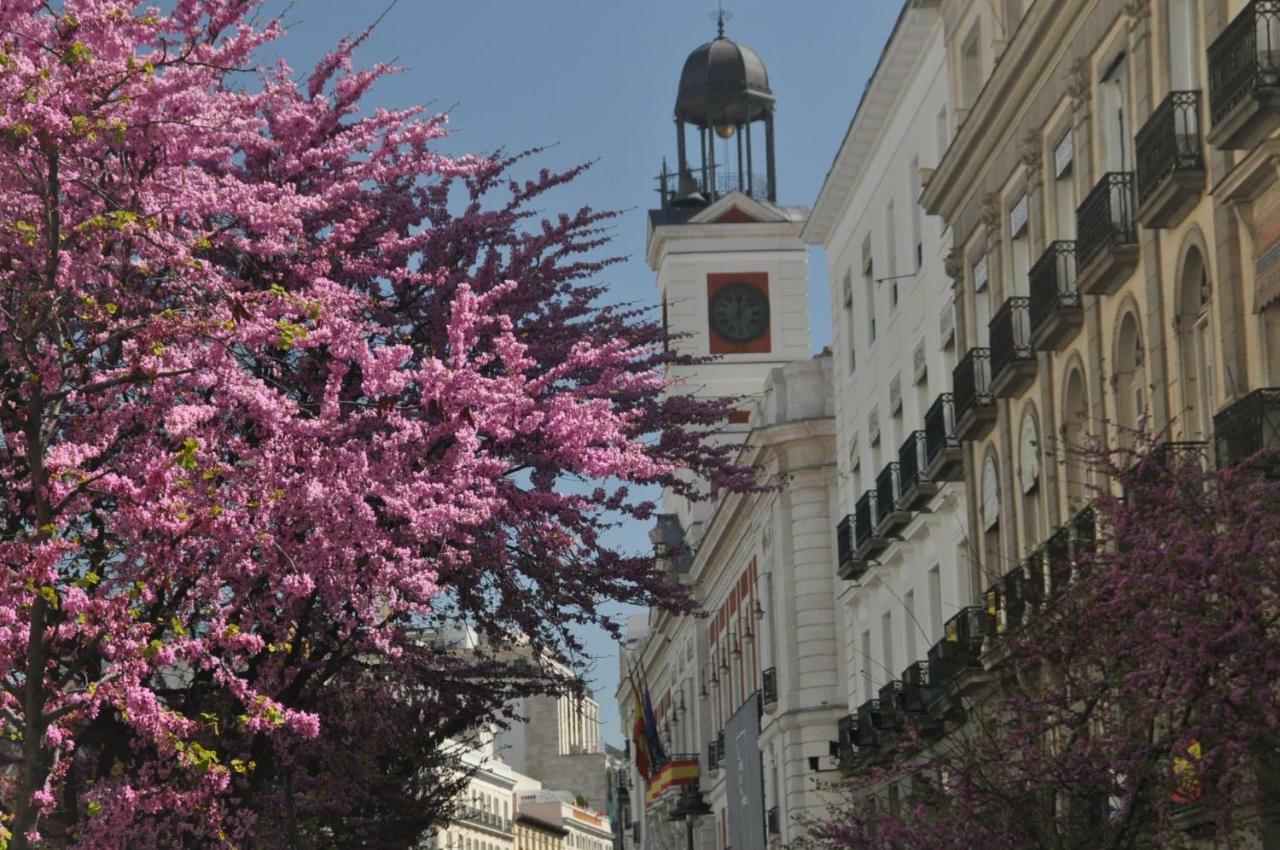 Guest house Patria