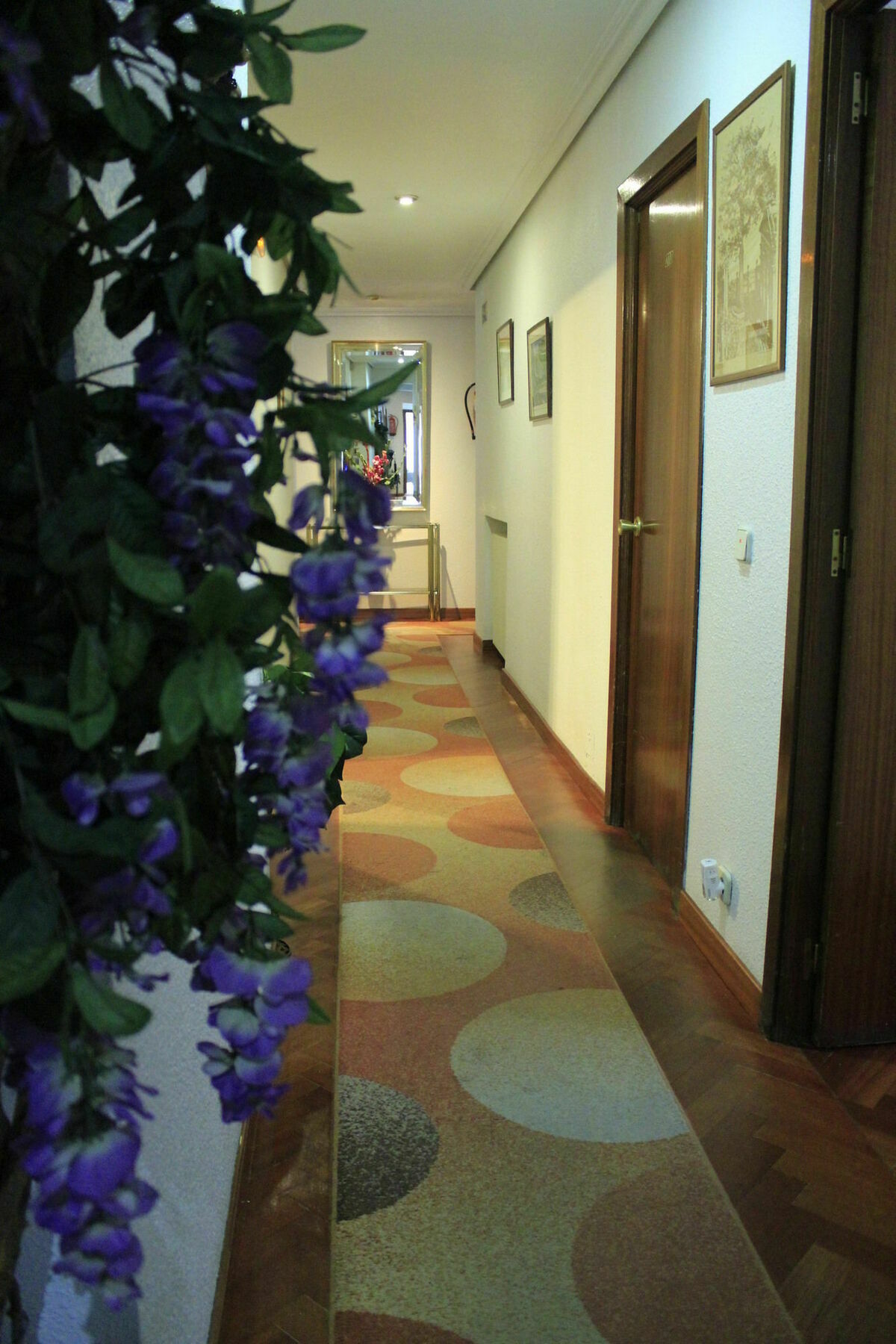Esmeralda Casa de hóspedes