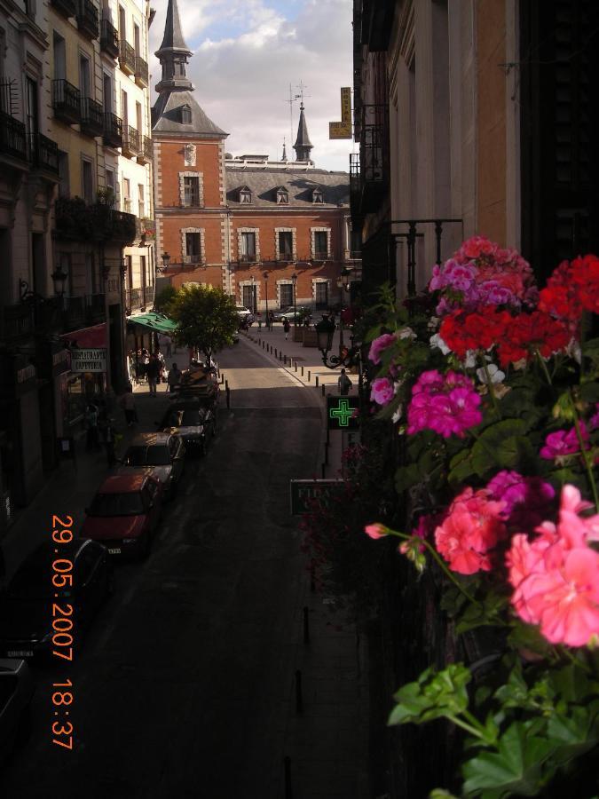 Comercial Casa de hóspedes Madri
