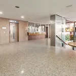Conde De Miranda 1