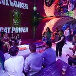 Cats Hostel Madrid Sol