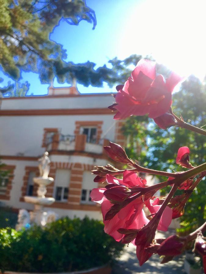 Laurene Auberge de jeunesse Madrid