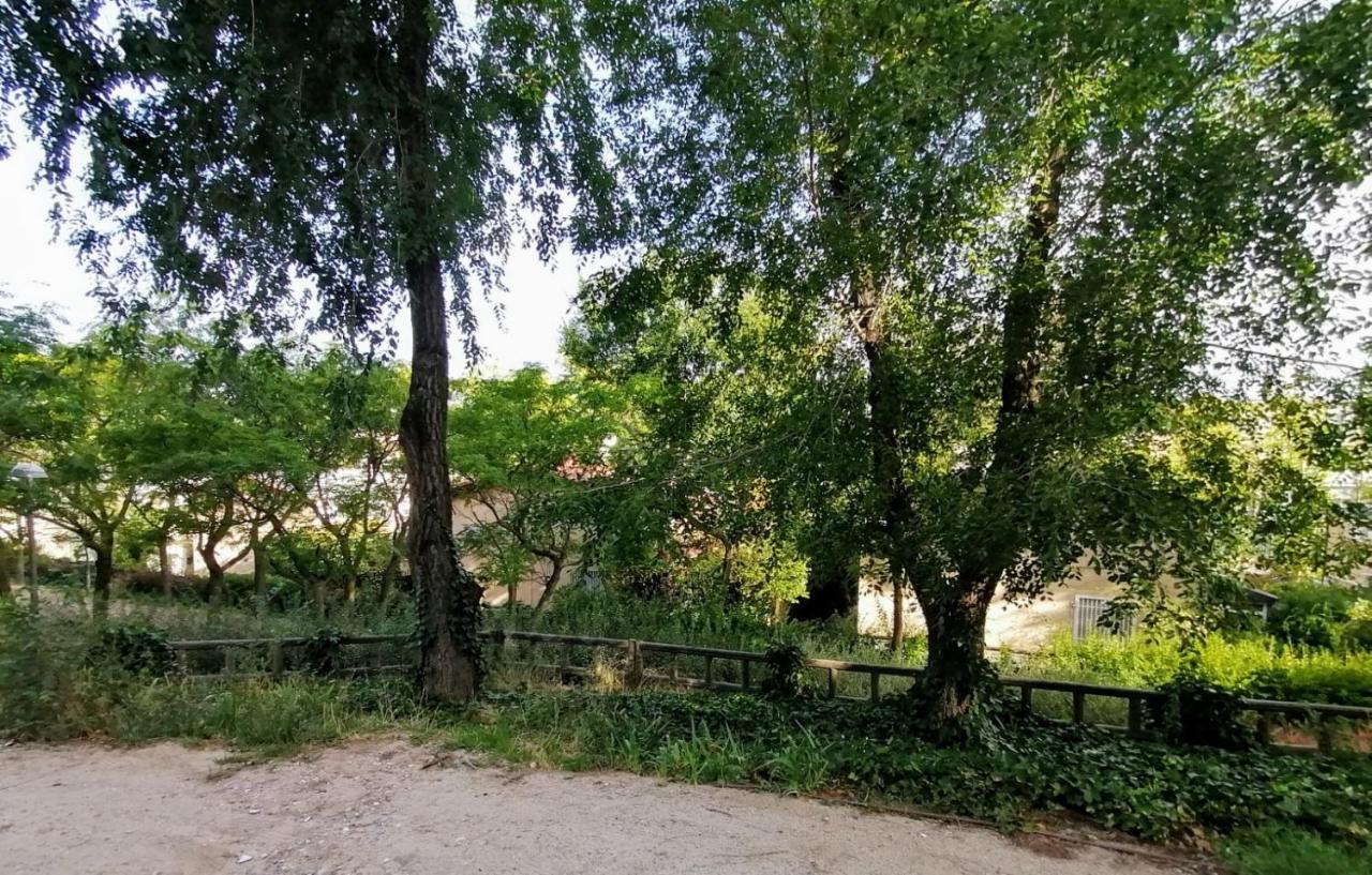 El Jardin De Manresa * Madrid