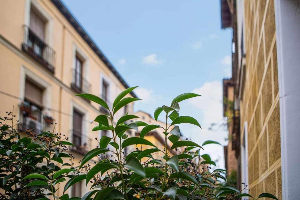 Appartement Calle Huertas Corazon By Regalatemadrid Madrid