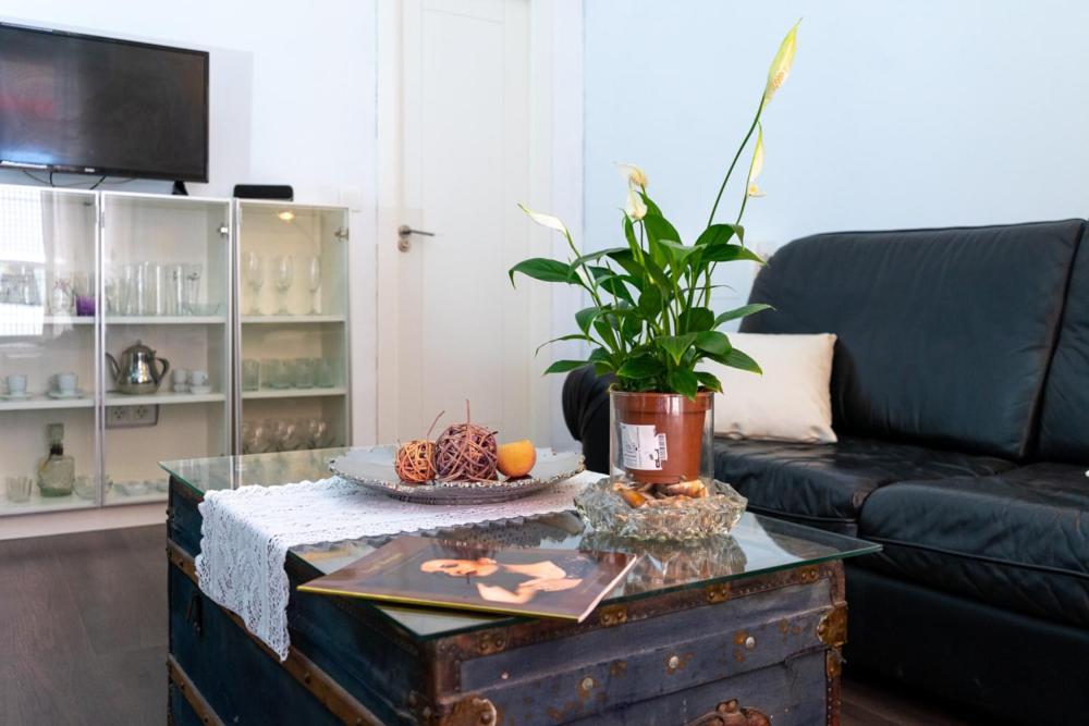 Modern And Neoclassical Flat *