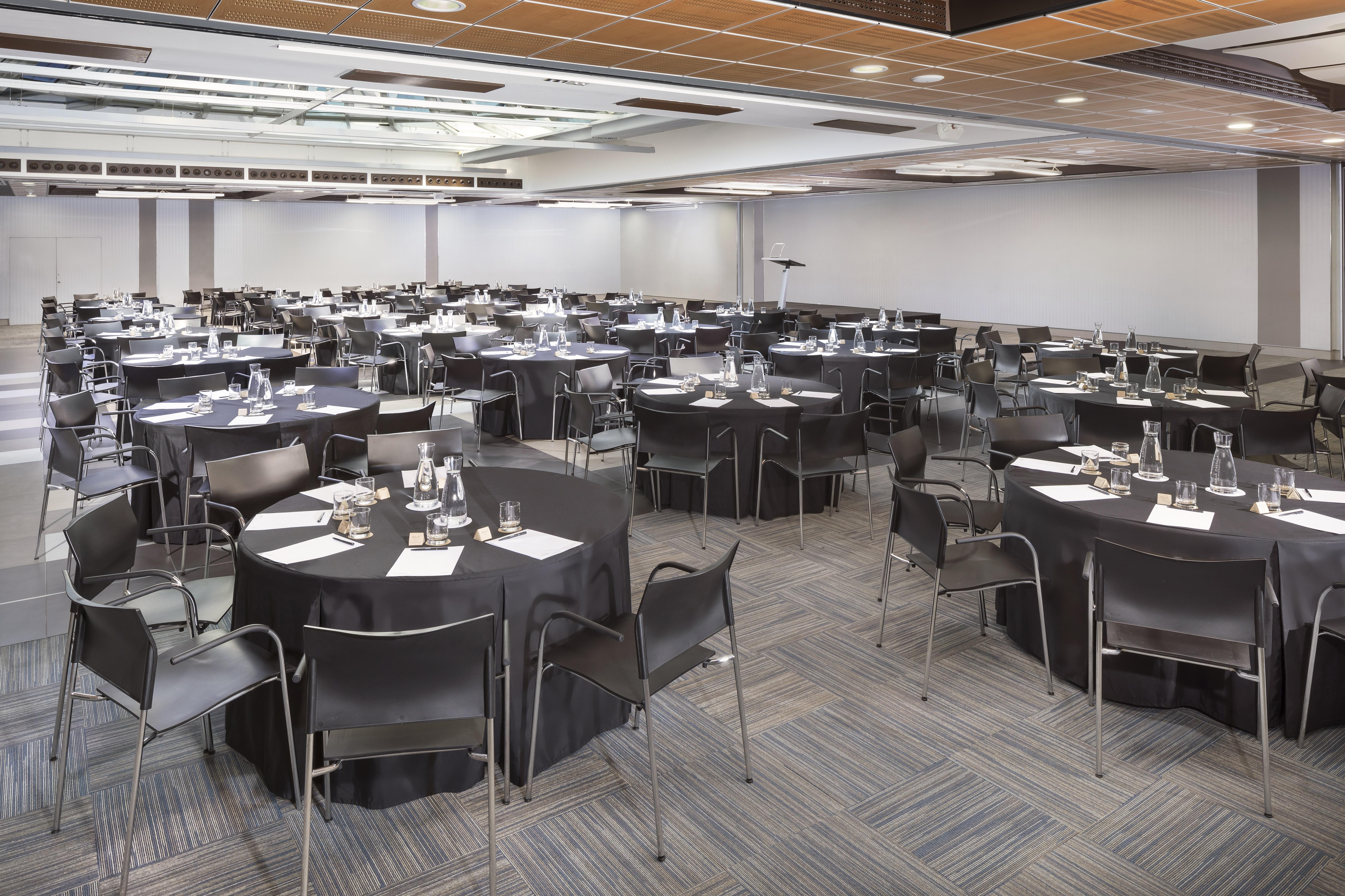 Melia Castilla Hotel
