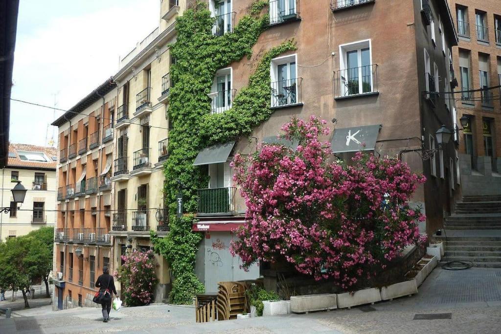 Appartement Manfredo