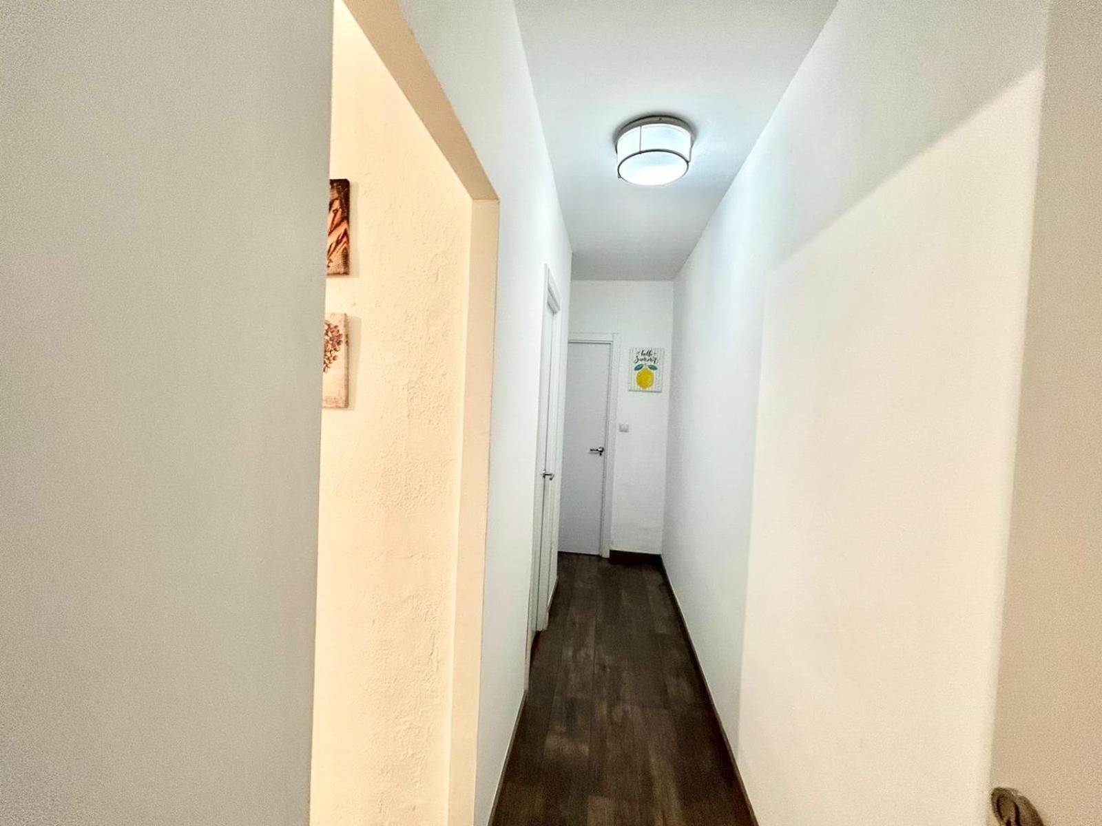 Apartamento Rio / Antonio López 2