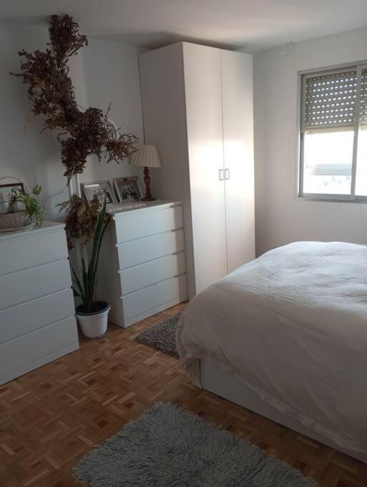 Luxury Renovated With Terrace In *