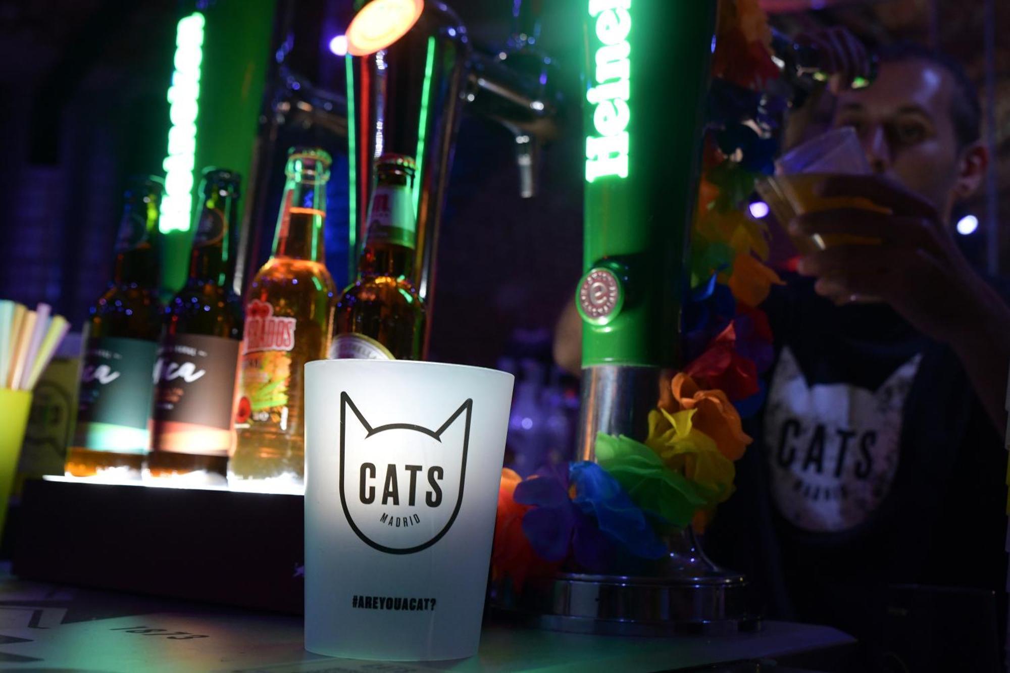 Cats Sol * Madrid